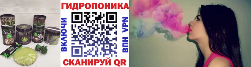 Еда ТГК марихуана  Купить закладки  Новоржев 