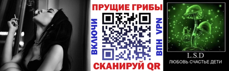 Купить где  Новоржев  Псилоцибиновые грибы мухоморы 